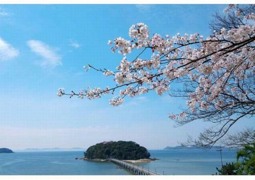 Wano Resort Hazu