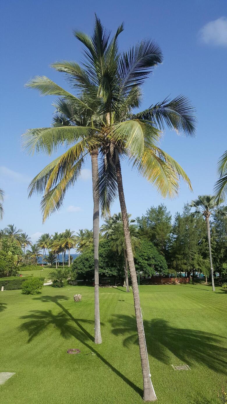 Kairaba Hotel