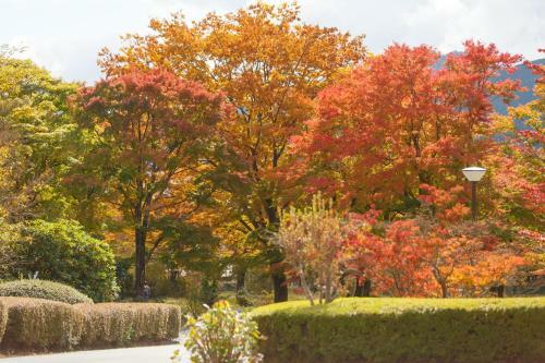 Hakone Lake Hotel