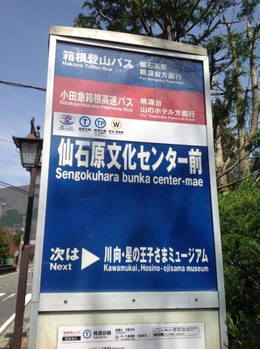 Mount View Hakone