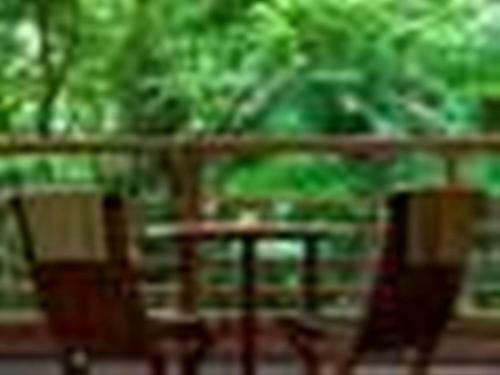 Hakone Mori-no-seseragi