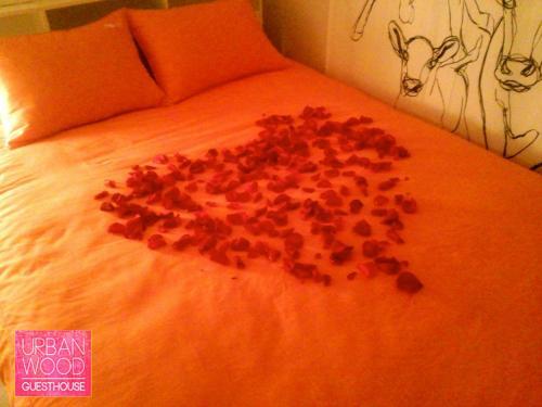 Hostal Urbanwood Guesthouse