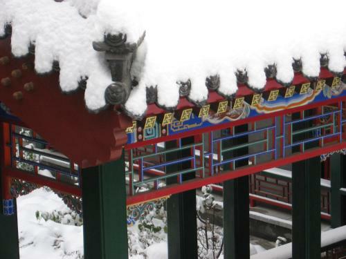 Heyuan International Youth Hostel