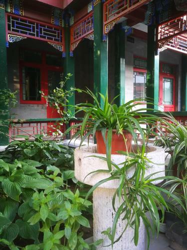 Heyuan International Youth Hostel