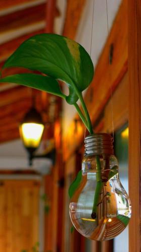 Hostal Hanok Guesthouse 201