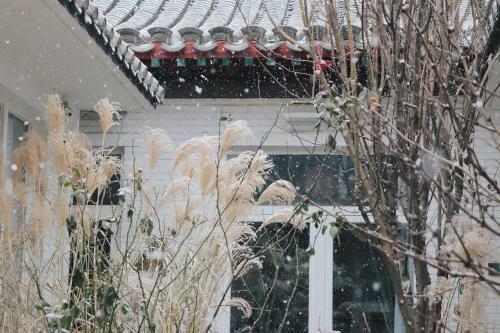 Peking Garden Hotel