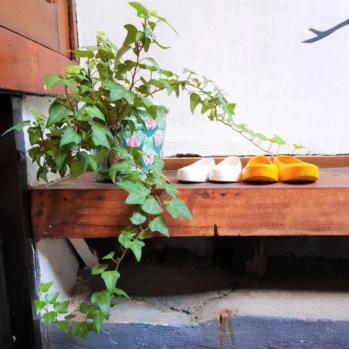 Hostal Raon Guesthouse