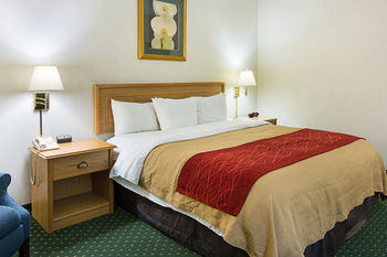 Hotel Comfort Inn