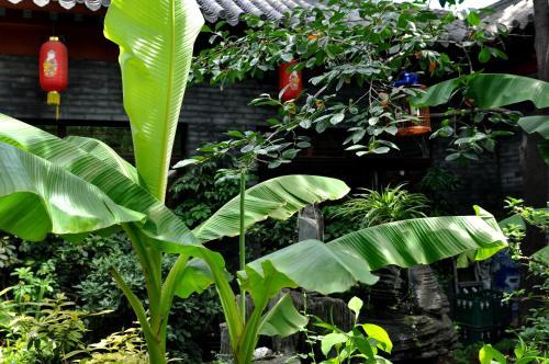Hostal Red Lantern House