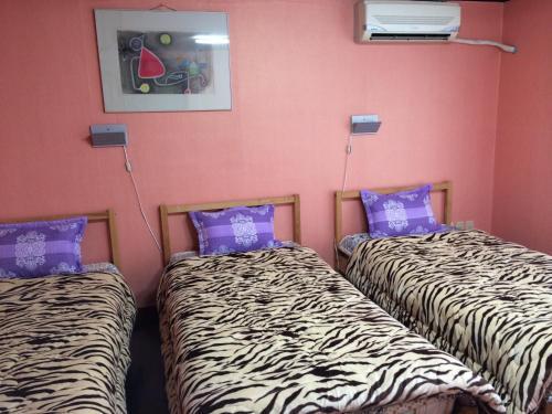 Hostal Comeinn Guesthouse