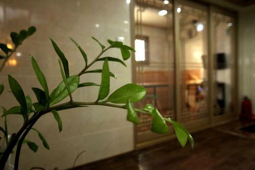 Aparthotel K-pop Residence Myeongdong 1