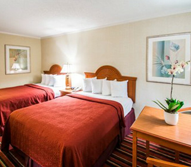 Hotel Quality Inn South At The Falls