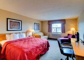 Hotel Comfort Inn (salisbury)