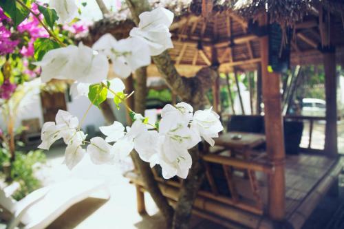 Mimpi Manis Homestay