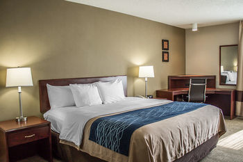 Hotel Comfort Inn Cambridge
