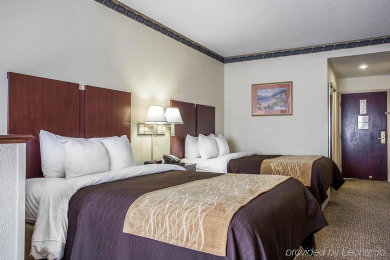 Hotel Comfort Inn & Suites Ft.jackson Maingate
