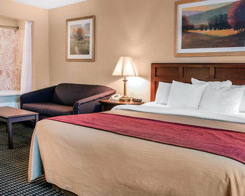 Hotel Comfort Inn (livonia)
