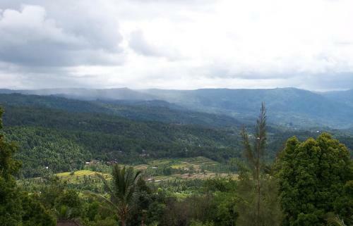 Hostal Karang Sari Guesthouse & Restaurant