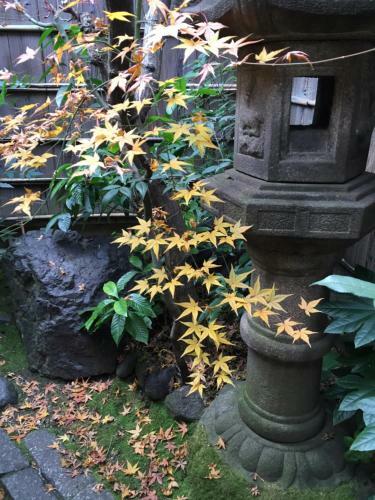 Hostal Guest House Hitsujian