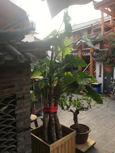 Posada Lijiang Rongyi Homestay