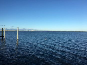 Hotel Quality Inn Bayside