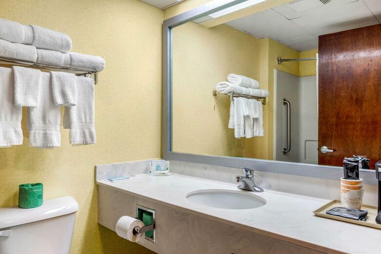 Hotel Comfort Inn (archdale)