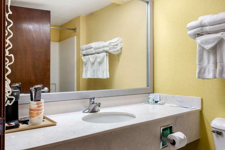 Hotel Comfort Inn (archdale)