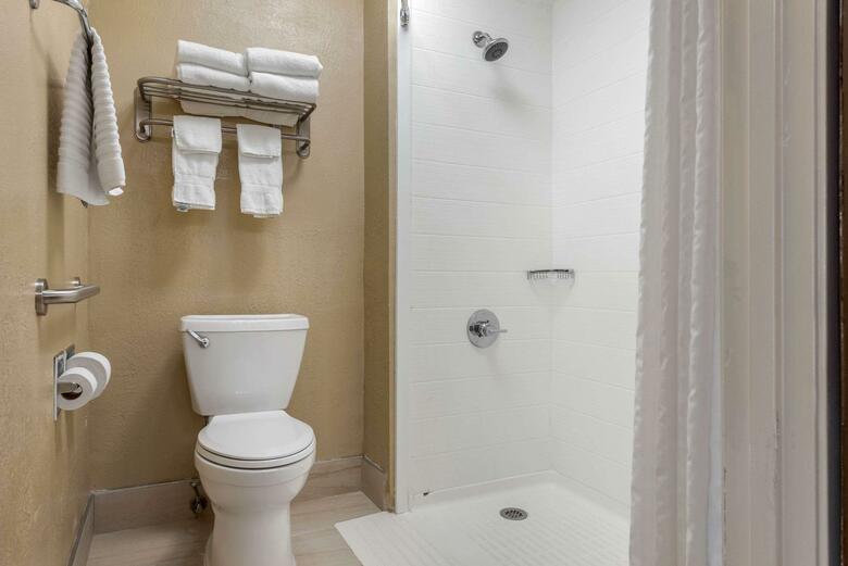 Hotel Comfort Inn South