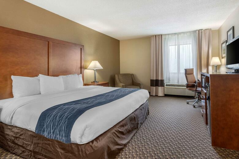 Hotel Comfort Inn South