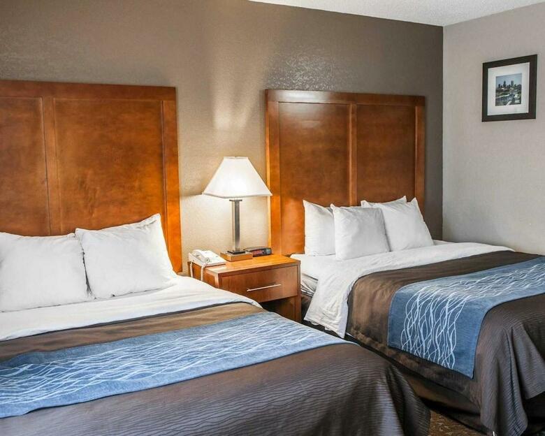 Hotel Comfort Inn South