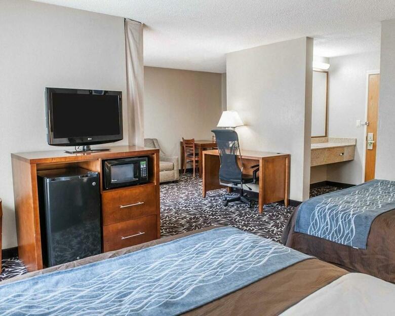 Hotel Comfort Inn South