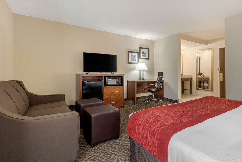 Hotel Comfort Inn South