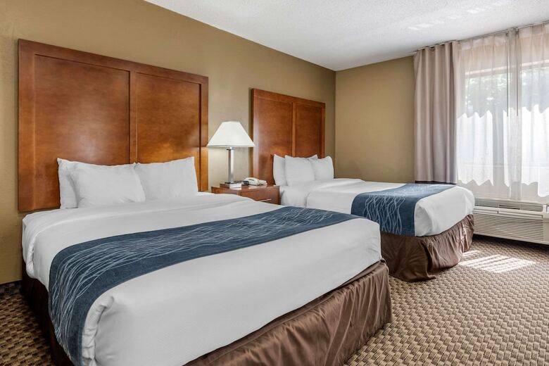 Hotel Comfort Inn South