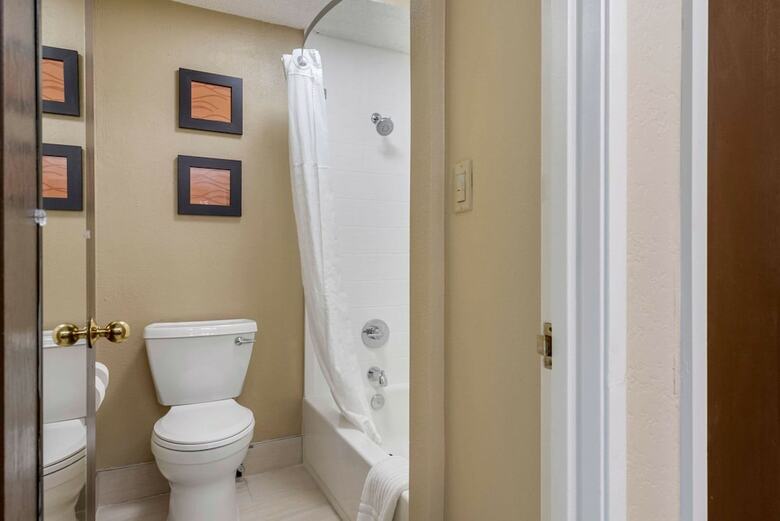 Hotel Comfort Inn South
