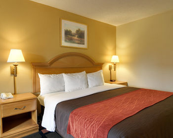 Hotel Comfort Inn (malvern)