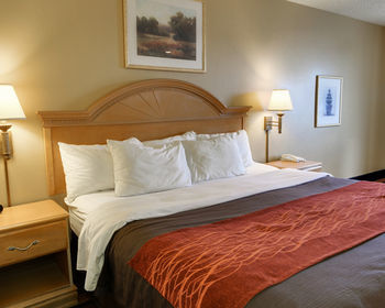 Hotel Comfort Inn (malvern)