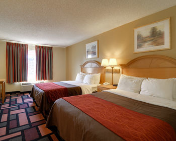 Hotel Comfort Inn (malvern)