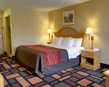 Hotel Comfort Inn (malvern)