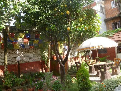Albergue Andes House