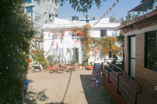 Bed & Breakfast Cocina Mitho Chha Bnb