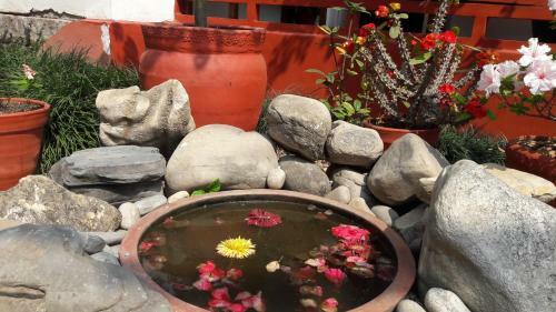 Bed & Breakfast Cocina Mitho Chha Bnb