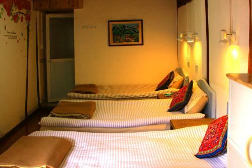 Lao Shay Youth Hostel Lijiang