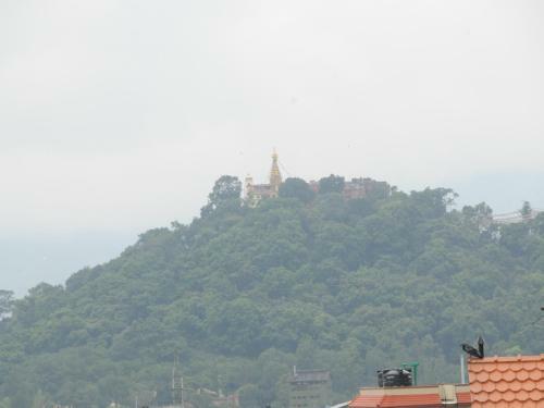 Eco Homestay