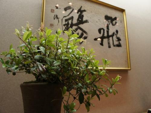 Hotel Shirakawa Yunokura