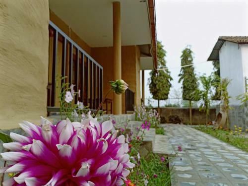 Hotel Jungle Resort