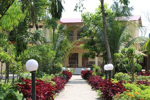Hotel Jungle Resort
