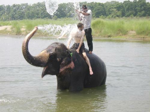 Hotel Rainbow Safari Resort