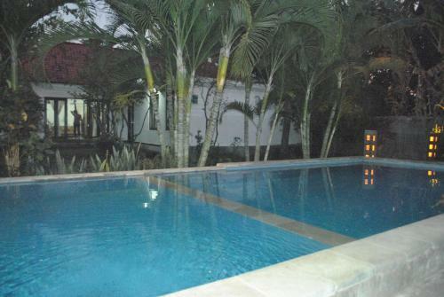 Lovina Villa Cinta