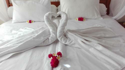 Starlight Hotel Lovina