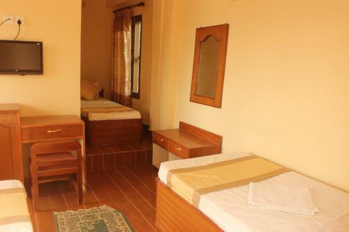 Lodge Jungle Wildlife Camp